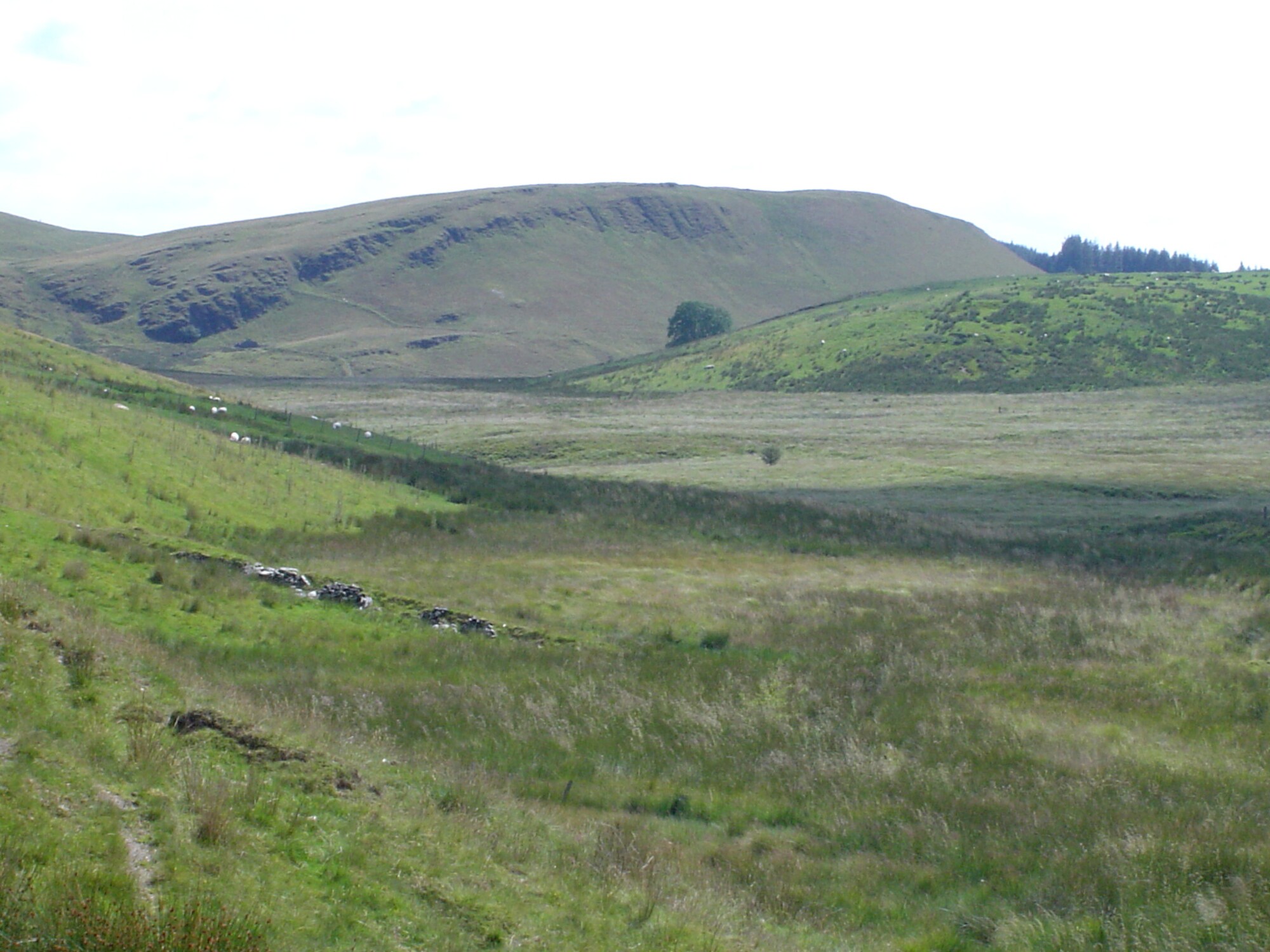 RachelSeabrook.net | Wild Walking | Craig y Pistyll | pic26
